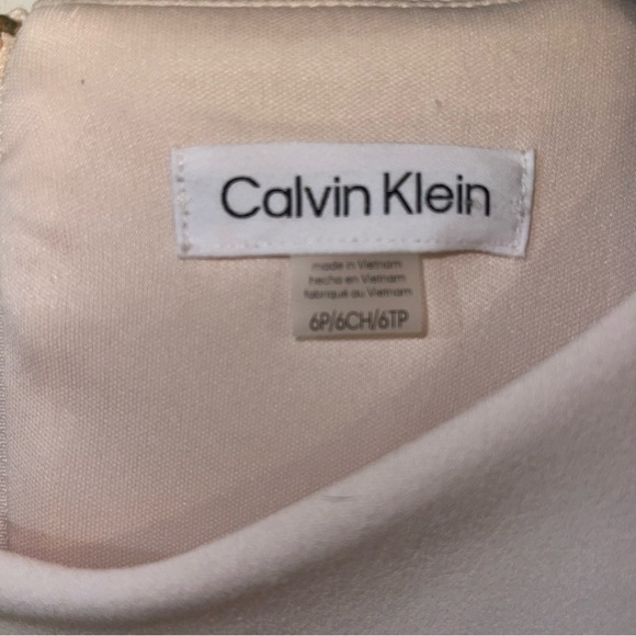 NWT Calvin Klein Crepe Scuba dress, Pale Pink Size 6P - Picture 4 of 6